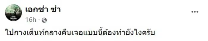 เฉลยแล้ว หนุ่มกางเต็นท์ เจอสายตาปริศนา จ้องมองลงมาน่าขนลุก แท้จริงคืออะไร