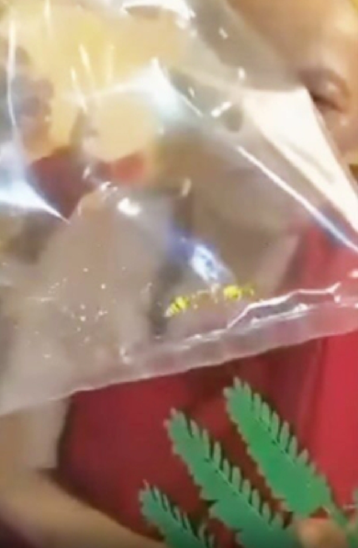 "หลวงพ่อไม้ท้าวนาคราช" ผู้เสกใบมะขามเป็นตัวต่อ เผยสืบทอดเคล็ดวิชา