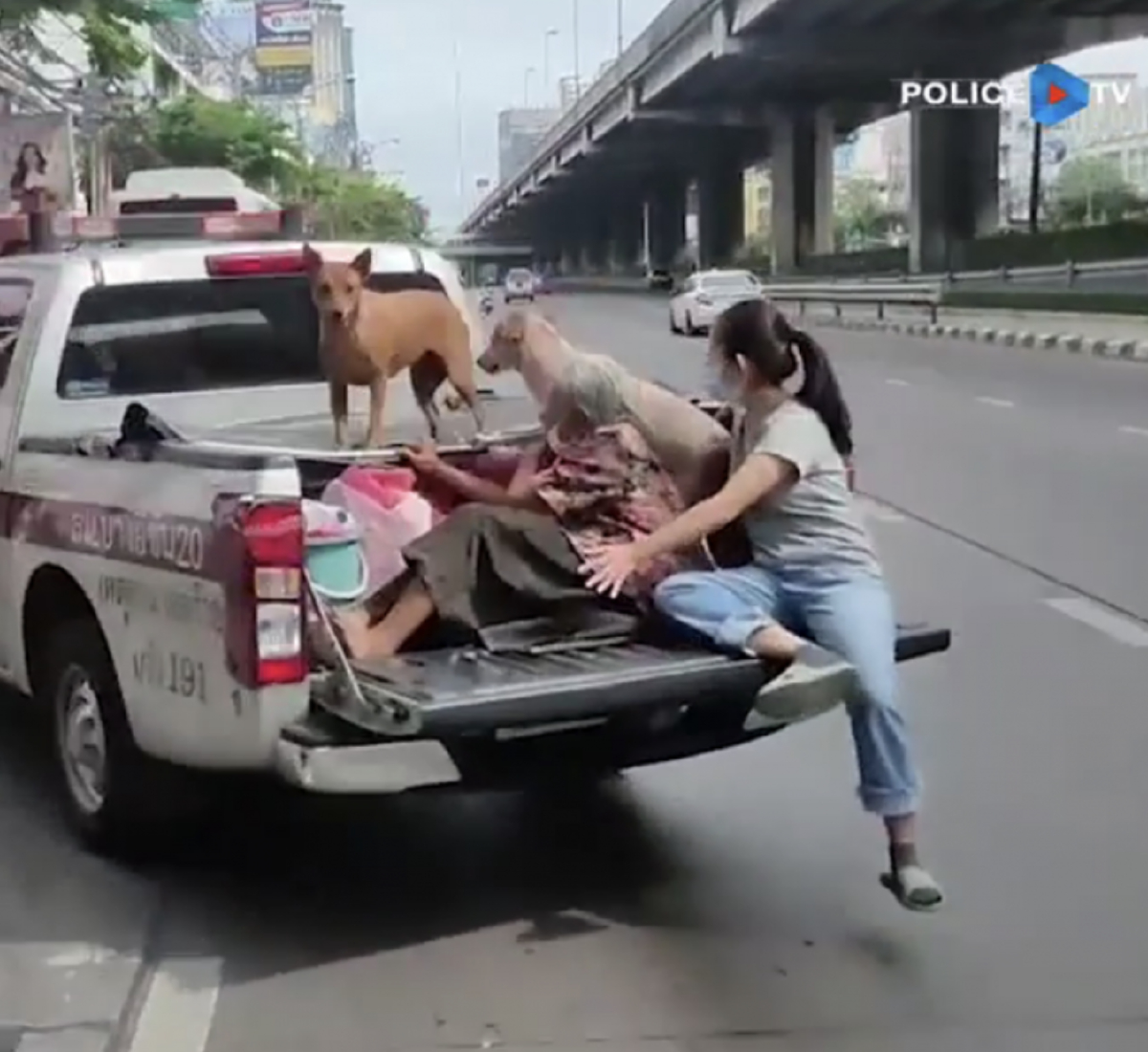 ตำรวจใจดี พาคุณยายกับสุนัข 3 ตัว ขึ้นรถกลับบ้าน