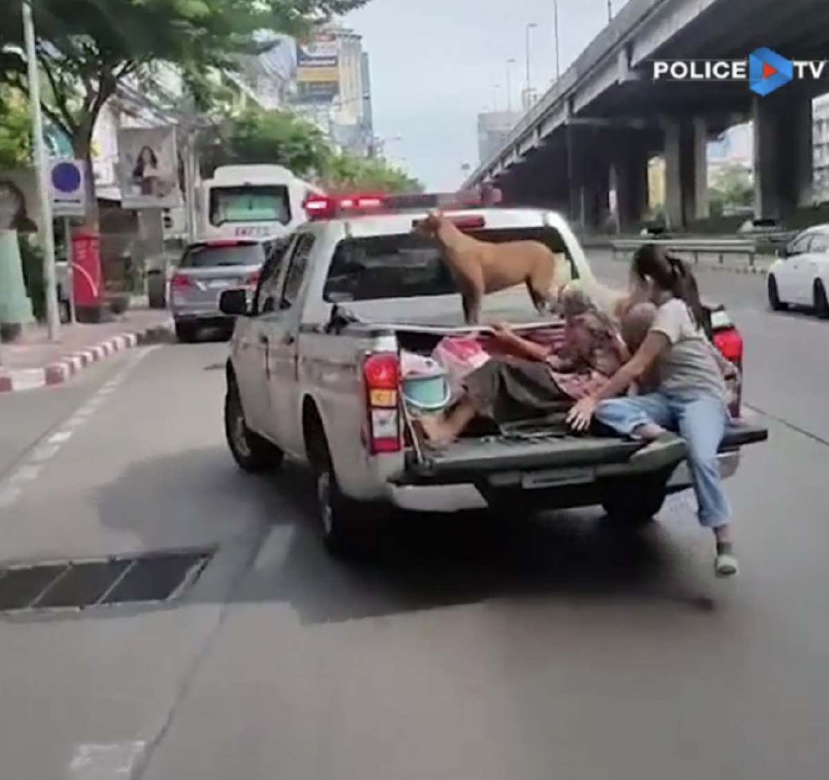 ตำรวจใจดี พาคุณยายกับสุนัข 3 ตัว ขึ้นรถกลับบ้าน