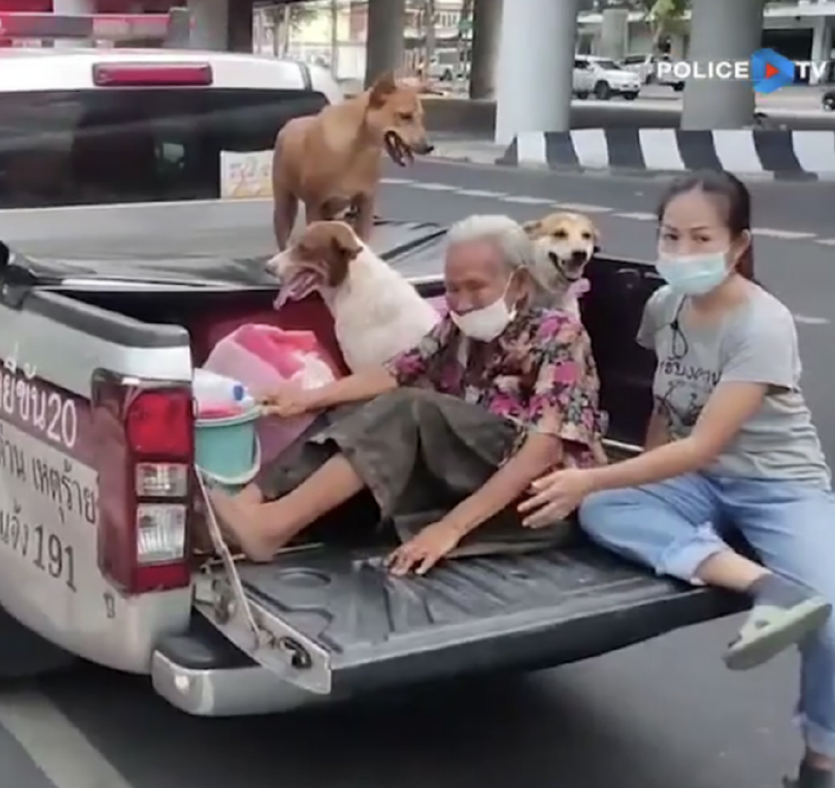 ตำรวจใจดี พาคุณยายกับสุนัข 3 ตัว ขึ้นรถกลับบ้าน