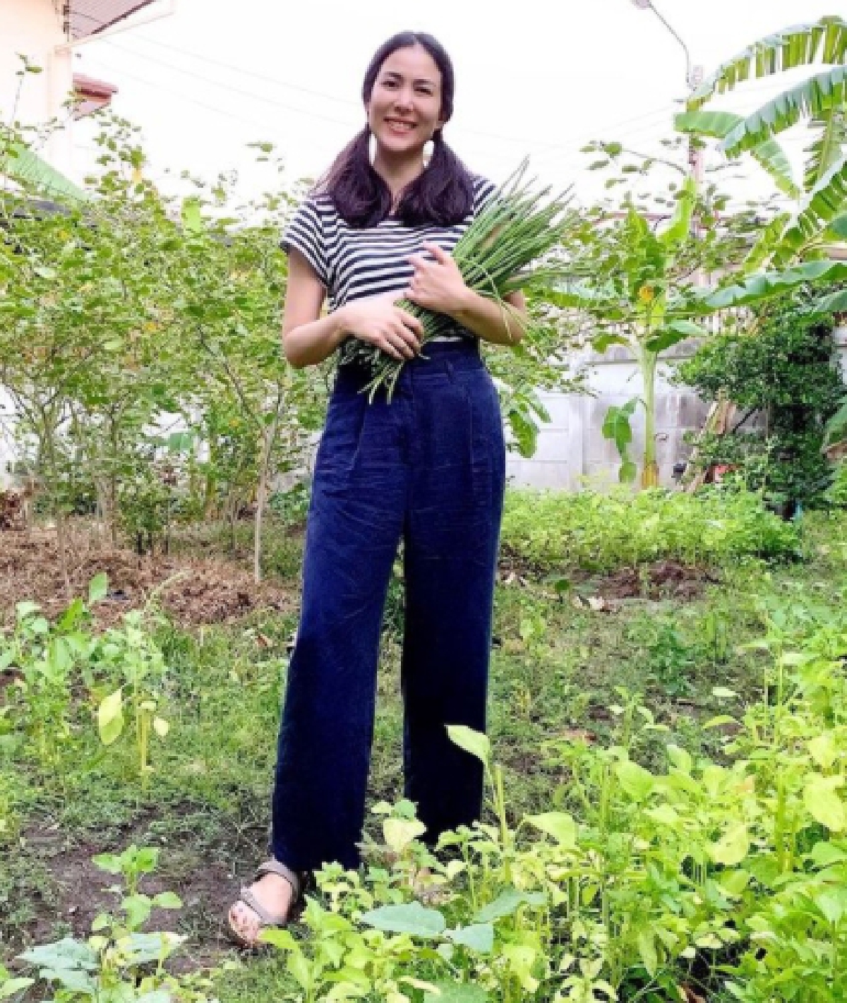 เชอรี่ เข็มอัปสร ทายาทเจ้าเมืองน่าน