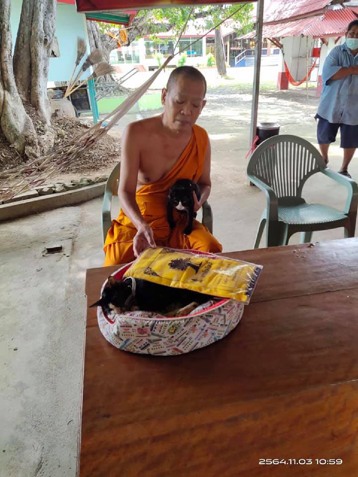  เจ้าโทนแมวใบ้หวย