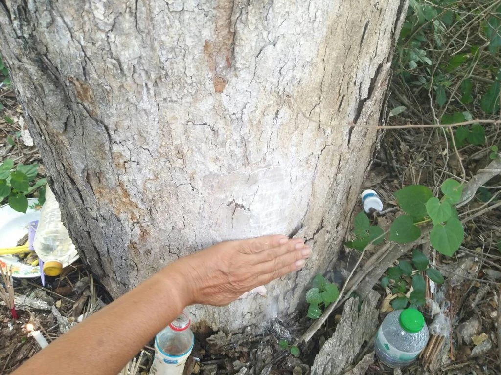 ขอหวยแบบไหนดี