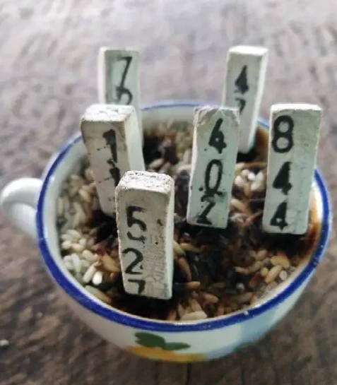 อยากถูกหวยต้องทํายังไง วิธีขอหวย 2565