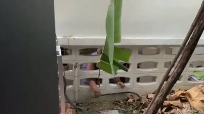 เจ้าของบ้านเอ็นดู หลังเห็นข้างบ้านแอบใช้น้ำ ชาวเน็ตเตือน ทำแบบนี้ไม่ได้