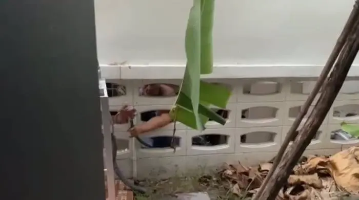 เจ้าของบ้านเอ็นดู หลังเห็นข้างบ้านแอบใช้น้ำ ชาวเน็ตเตือน ทำแบบนี้ไม่ได้