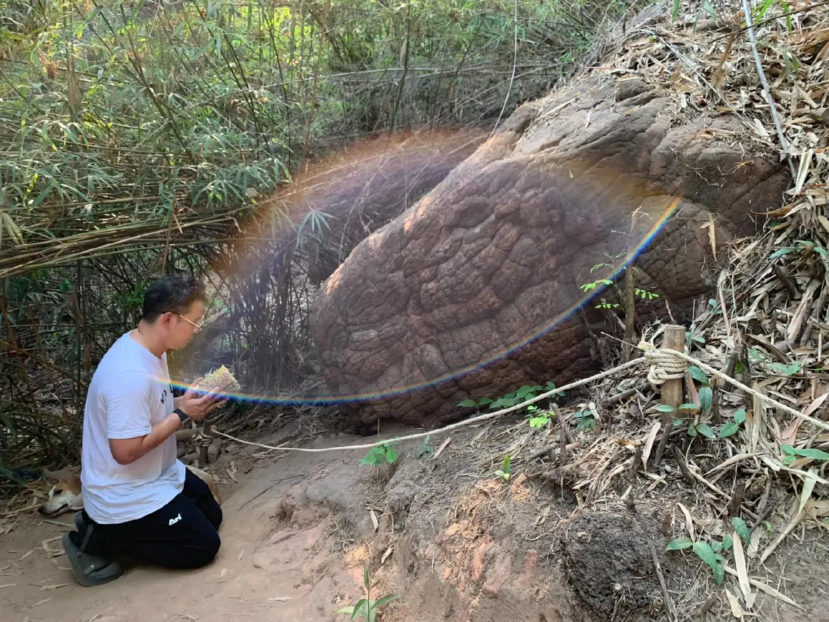 หมอกฤษณ์ คอนเฟิร์ม เผย 3 ราศี มีเกณฑ์โยกย้ายงาน แล้วอนาคตจะดีสดใสขึ้น