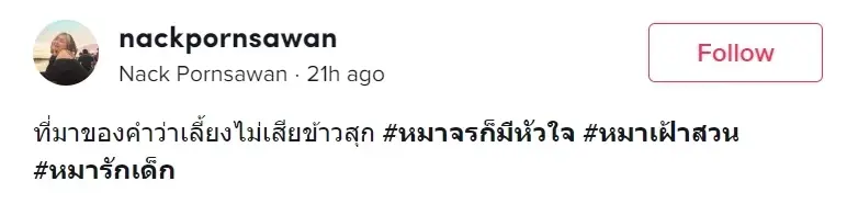 ชาวเน็ตเอ็นดู เหล่าสุนัขเฝ้าสวน คอยดึงเด็กน้อยขึ้นจากน้ำไม่หยุด