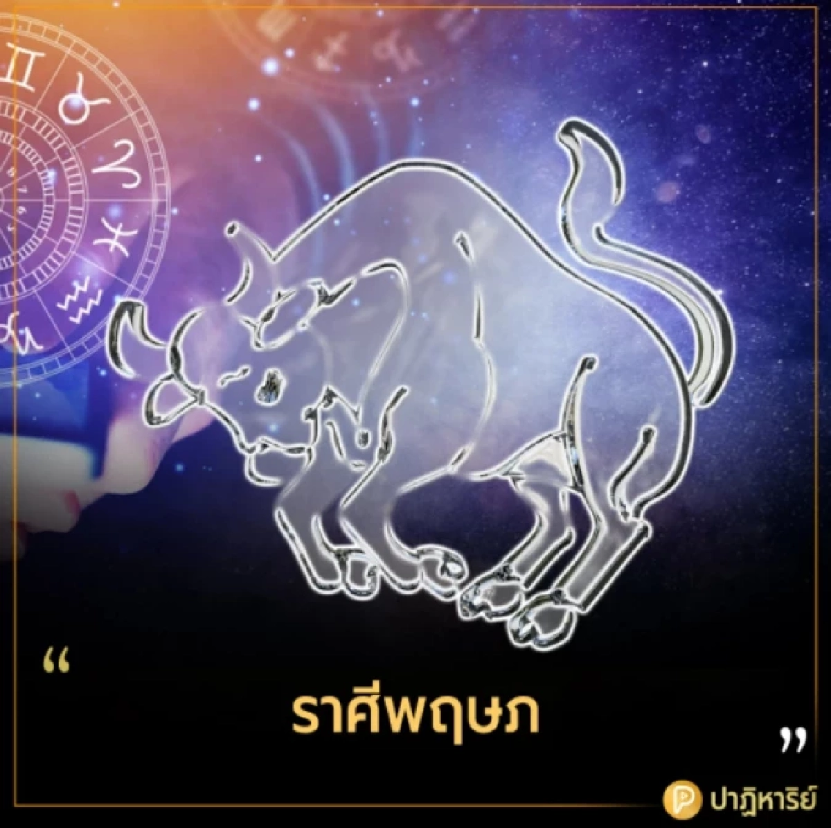 ราศีพฤษภ รักสัตว์เหมือนลูก 3 ราศี รักสัตว์เหมือนลูก ด่าเราได้แต่อย่าด่าลูกเรา