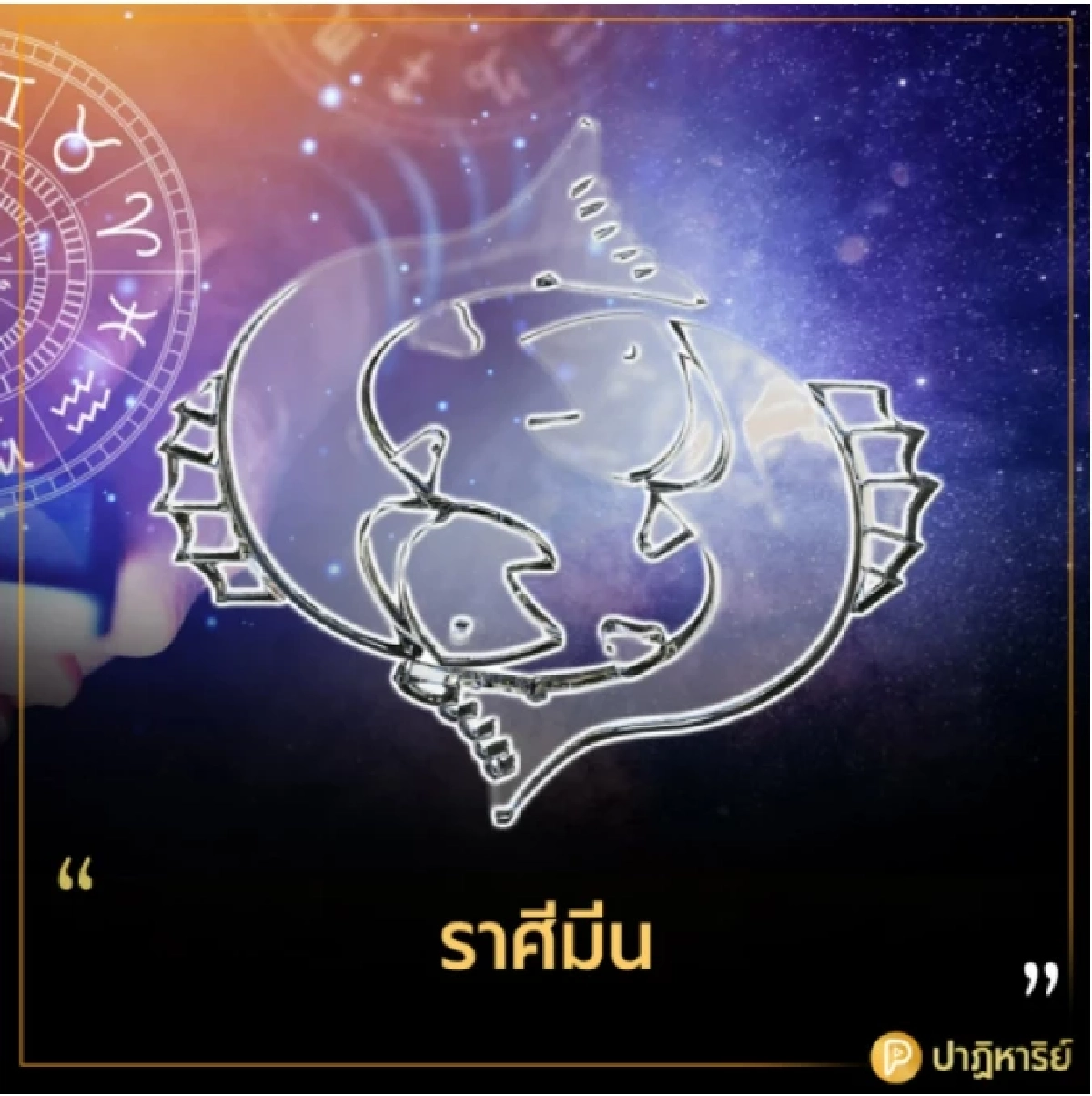 ราศีมีน รักสัตว์เหมือนลูก 3 ราศี รักสัตว์เหมือนลูก ด่าเราได้แต่อย่าด่าลูกเรา