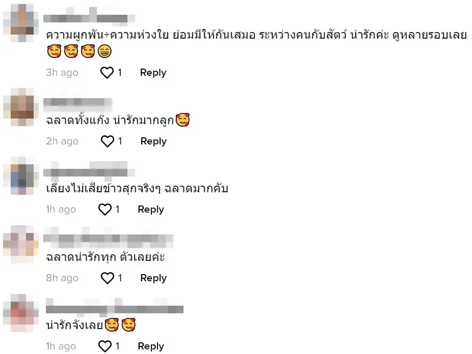 ชาวเน็ตเอ็นดู เหล่าสุนัขเฝ้าสวน คอยดึงเด็กน้อยขึ้นจากน้ำไม่หยุด