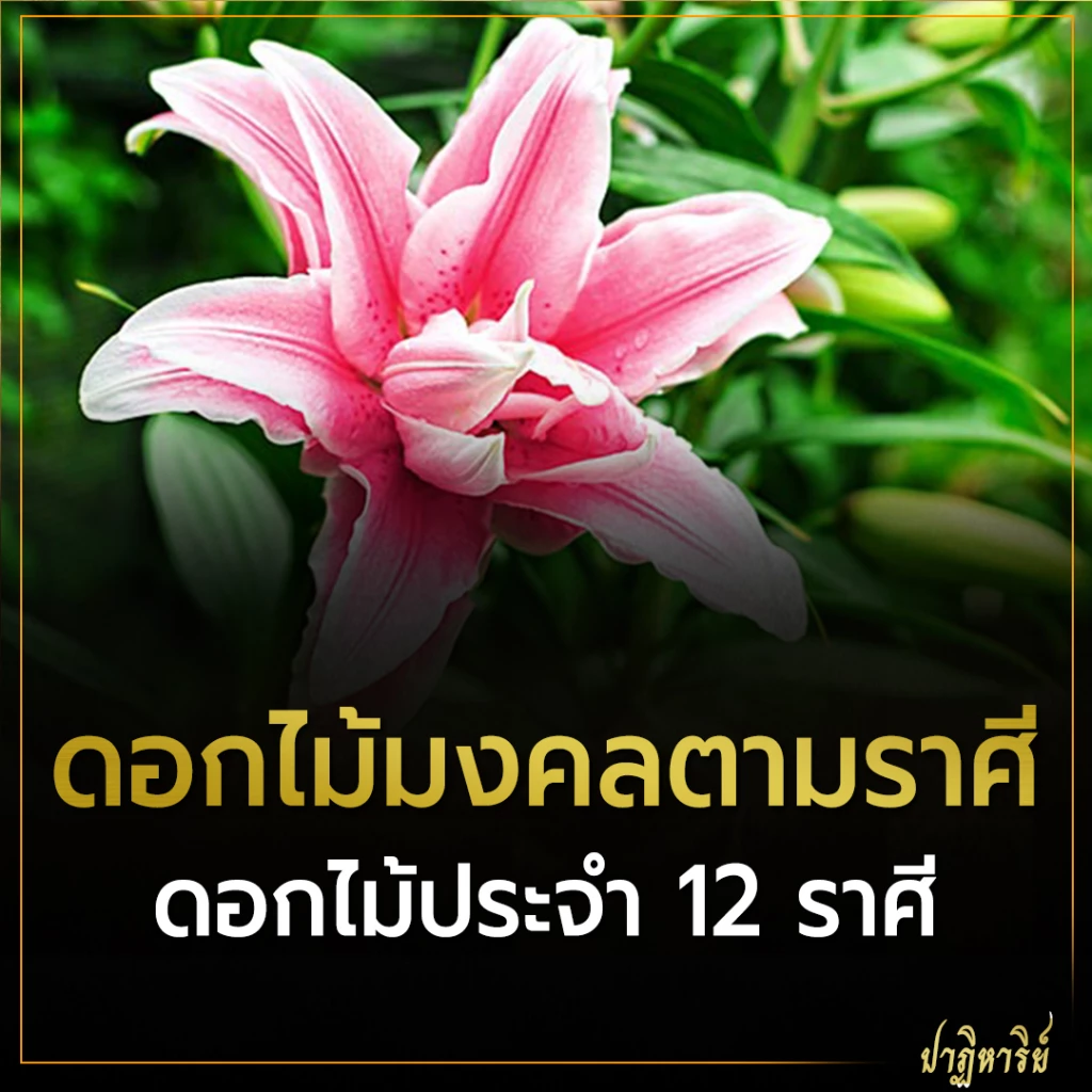 ดอกไม้ประจำ 12 ราศี และ ดอกไม้มงคลตามราศี