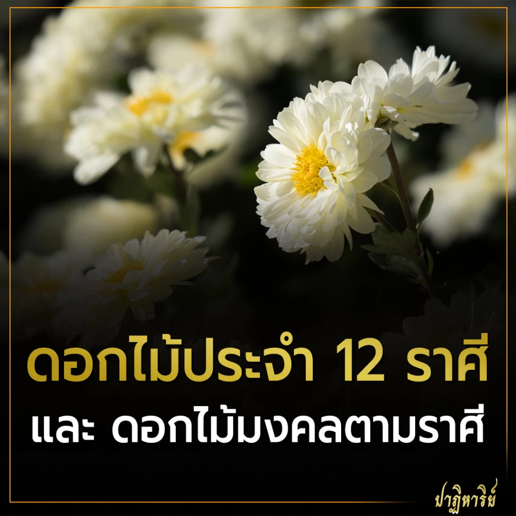 ดอกไม้ประจำ 12 ราศี และ ดอกไม้มงคลตามราศี
