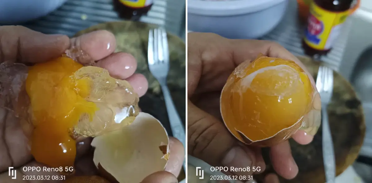 อ.เจษฎา ไขข้อสงสัย "ไข่ดิบ" กลายเป็นวุ้นใส เกิดขึ้นจากอะไร