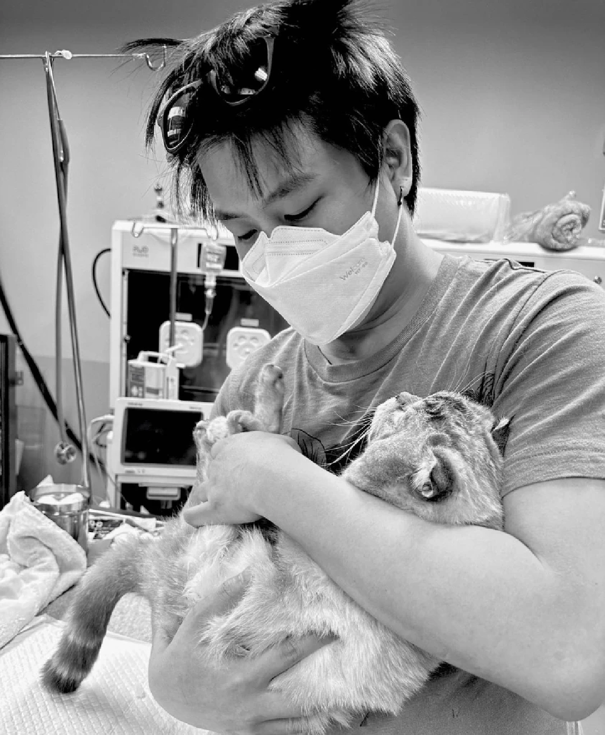 เจ้าของโพสต์เศร้า พี่เฉโป กลับดาวแมวแล้ว หลังป่วยหลายโรค