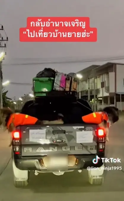 โซเชียลแห่แชร์ คลิปไซบีเรียนนั่งท้ายกระบะ ยิ่งเห็นป้ายท้ายรถยิ่งเอ็นดู