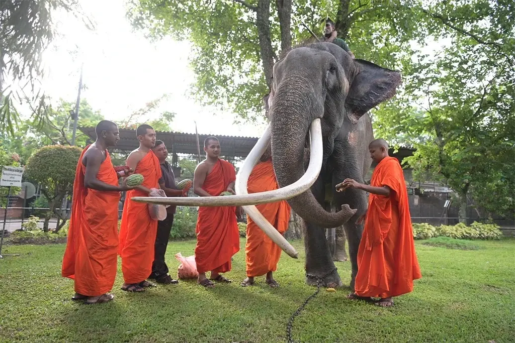 ล่าสุด 'พลายศักดิ์สุรินทร์' เข้าน่านฟ้าประเทศไทยแล้ว