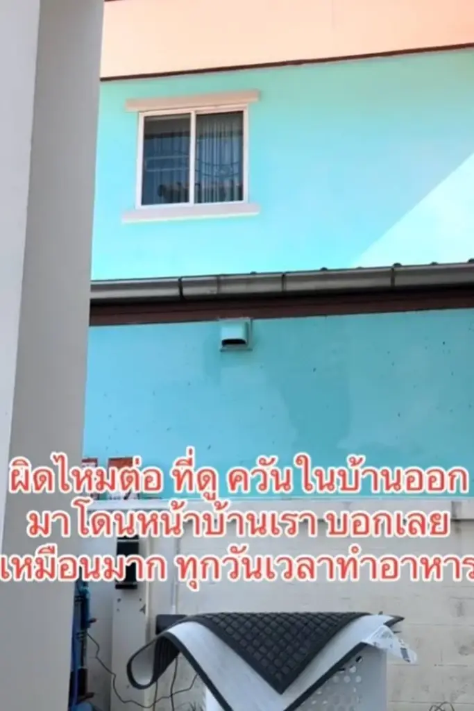 เจ้าของบ้านปวดหัว เจอเพื่อนบ้านติดปล่องควันพุ่งเข้าหาบ้าน พอบอกยังทำเฉย
