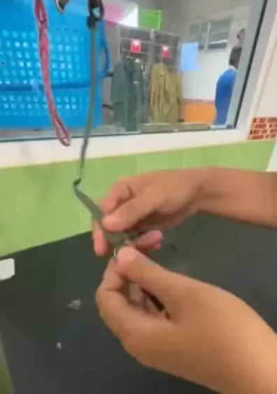เจ้าของใจสลาย พาหมาไปอาบน้ำ แต่กลับเกิดเหตุไม่คาดฝัน
