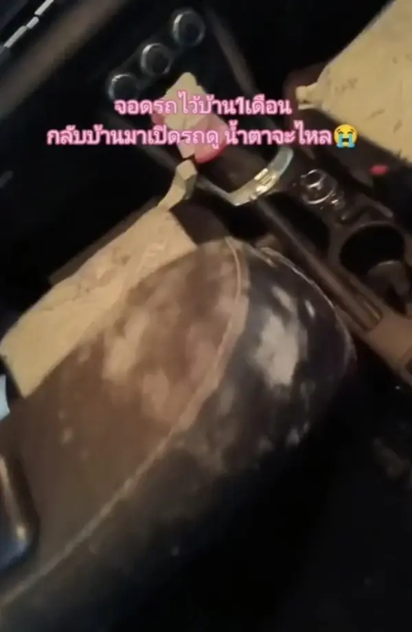 สาวแชร์อุทาหรณ์ จอดรถทิ้งไว้ 1 เดือน เปิดมาดูอีกทีน้ำตาจะไหล