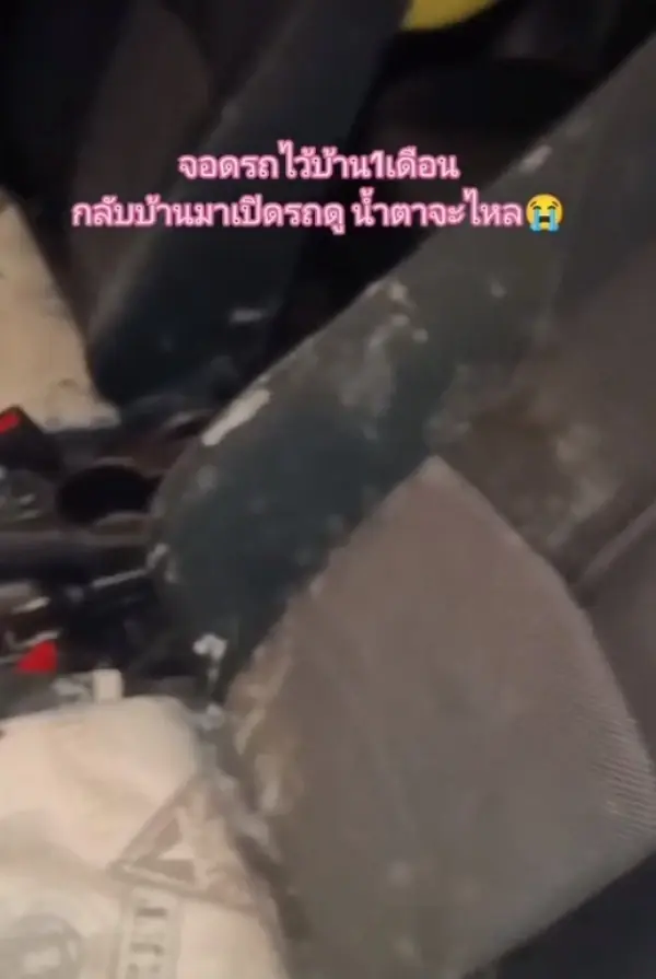 สาวแชร์อุทาหรณ์ จอดรถทิ้งไว้ 1 เดือน เปิดมาดูอีกทีน้ำตาจะไหล