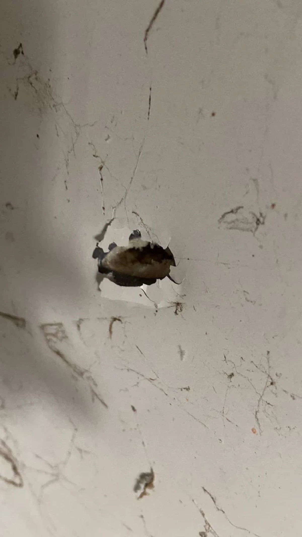 แรงงานไทยถูกลูกหลง บาดเจ็บที่บั้นท้ายกับหลัง จากเหตุยิงกันในอิสราเอล