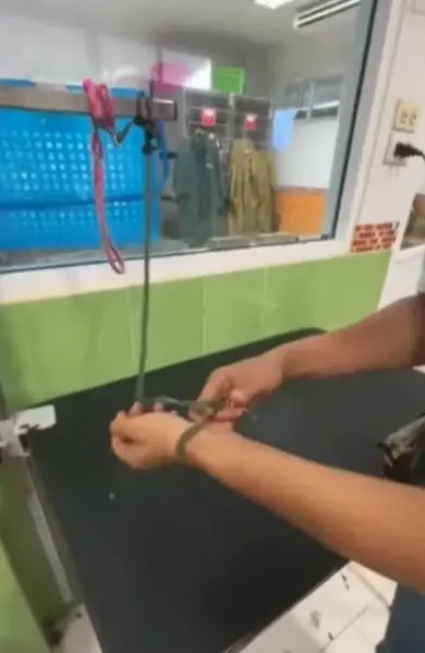 เจ้าของใจสลาย พาหมาไปอาบน้ำ แต่กลับเกิดเหตุไม่คาดฝัน