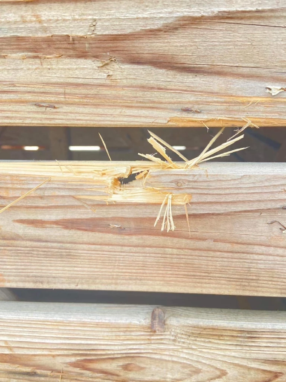 แรงงานไทยถูกลูกหลง บาดเจ็บที่บั้นท้ายกับหลัง จากเหตุยิงกันในอิสราเอล