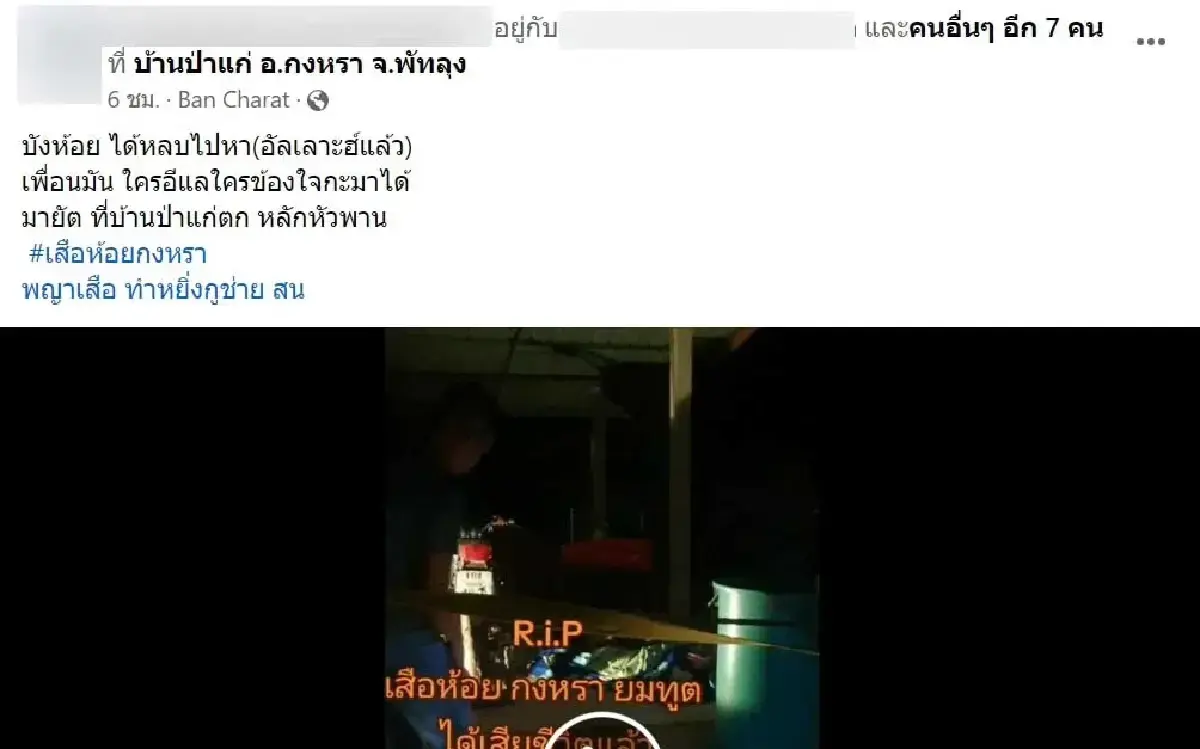 สิ้นชื่อแล้ว ขาใหญ่ประจำถิ่นกงหรา เสือห้อย โดนซุ่มยิงเสียชีวิต