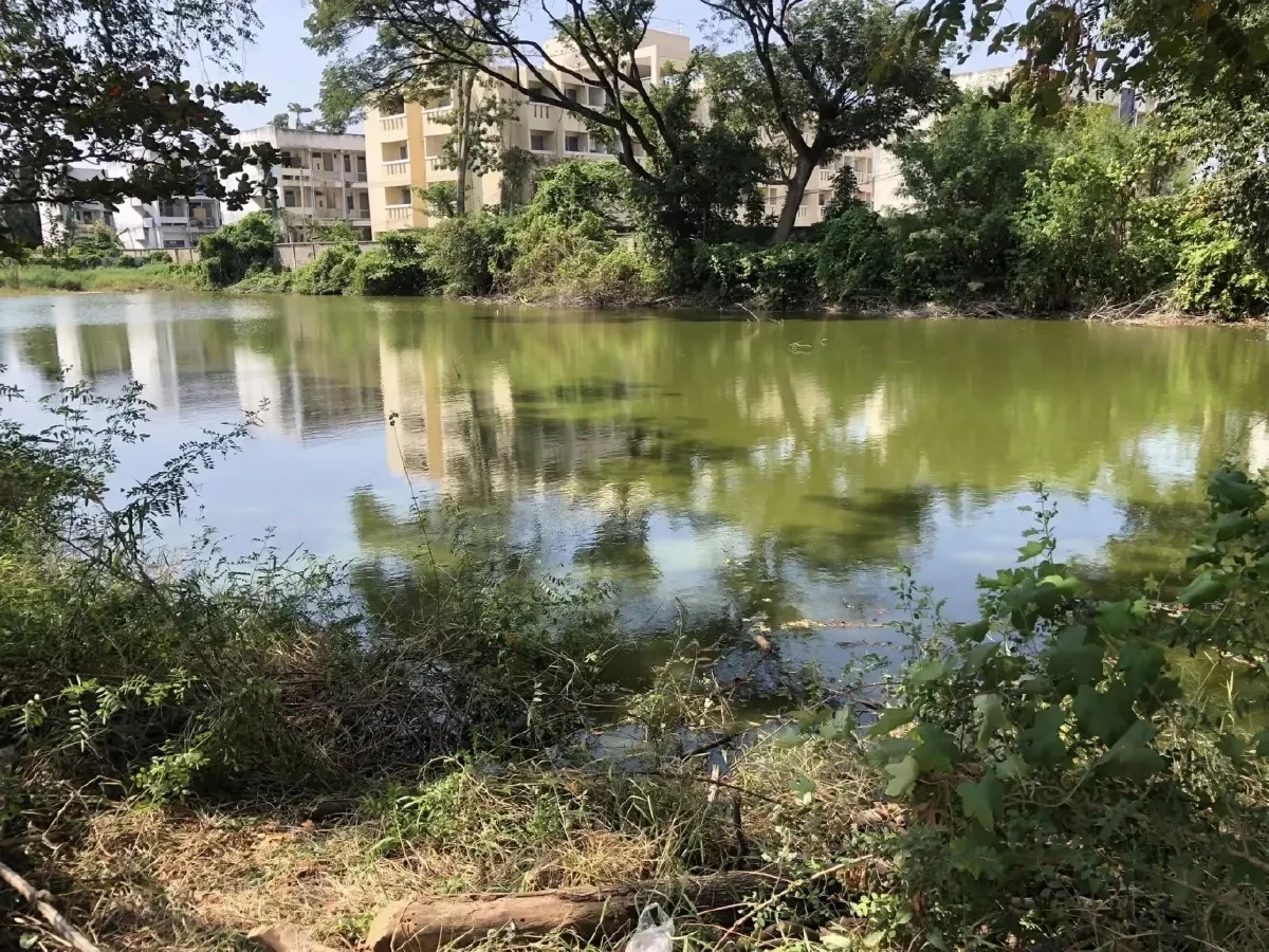 คนในพื้นที่เล่านิสัย ป้ากบ หญิงเร่ร่อน เหยื่อ 5 เยาวชน