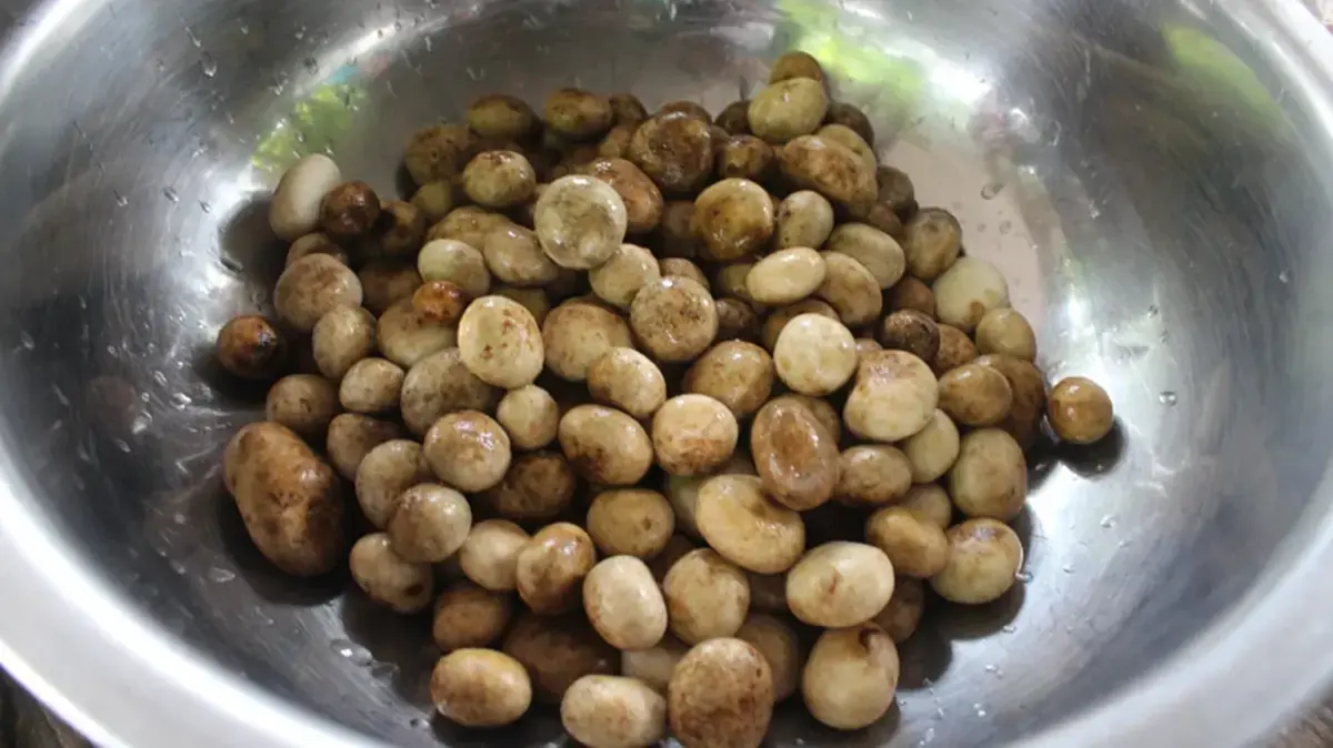 อ.เจษฎา ตอบแล้ว หลังแชร์ว่อนเห็ดทุกชนิด กินแล้วเสี่ยงป่วยมะเร็ง