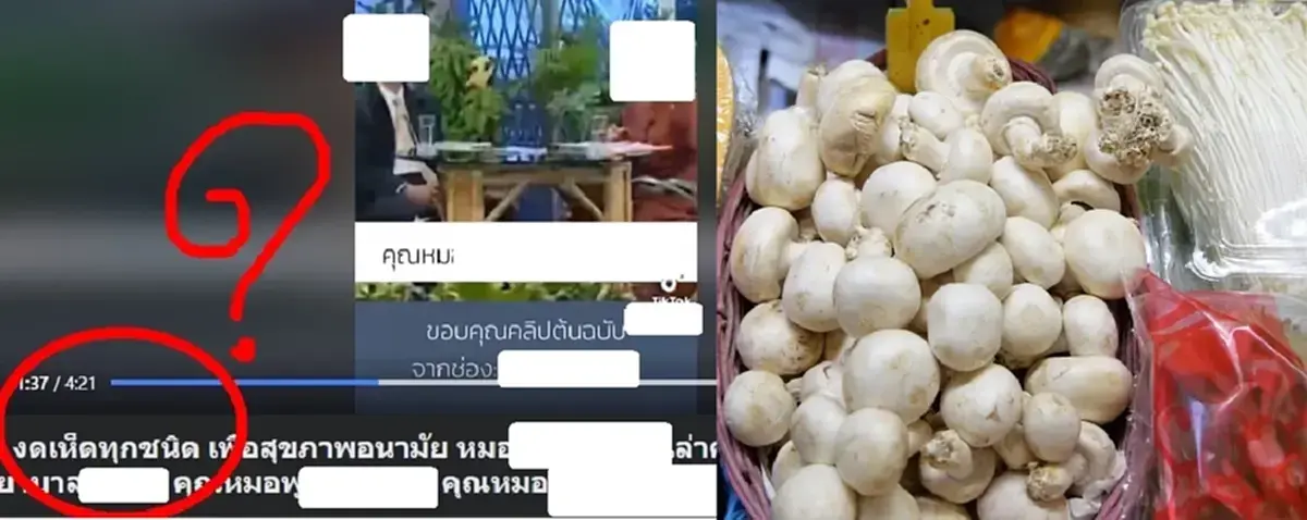 อ.เจษฎา ตอบแล้ว หลังแชร์ว่อนเห็ดทุกชนิด กินแล้วเสี่ยงป่วยมะเร็ง