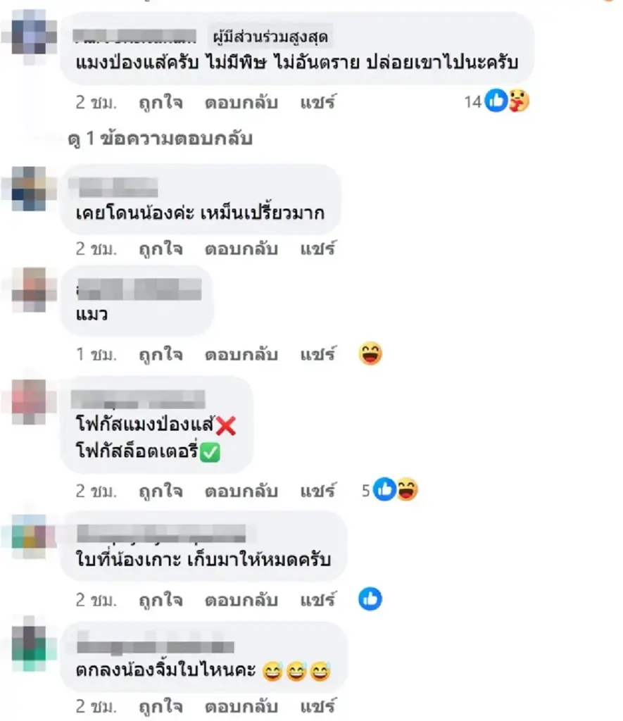 สาวสงสัยเจอตัวอะไร อยู่ในแผงลอตเตอรี่ งานนี้ชาวเน็ตแห่โฟกัสเลขหวย