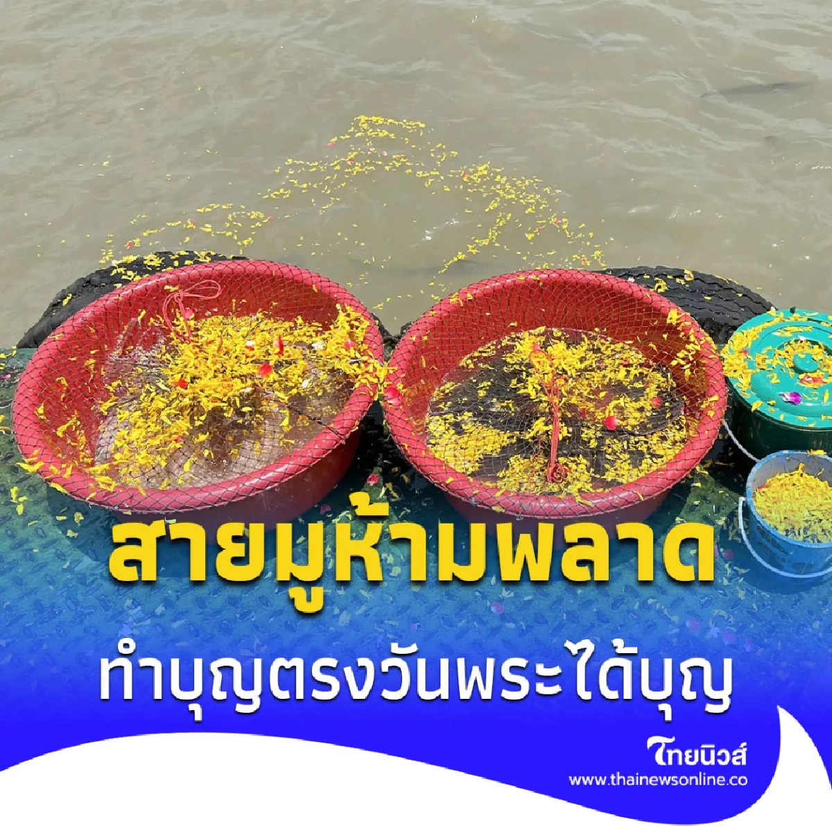 คาถา คำกล่าว ปล่อยสัตว์ทำบุญ ในวันพระใหญ่
