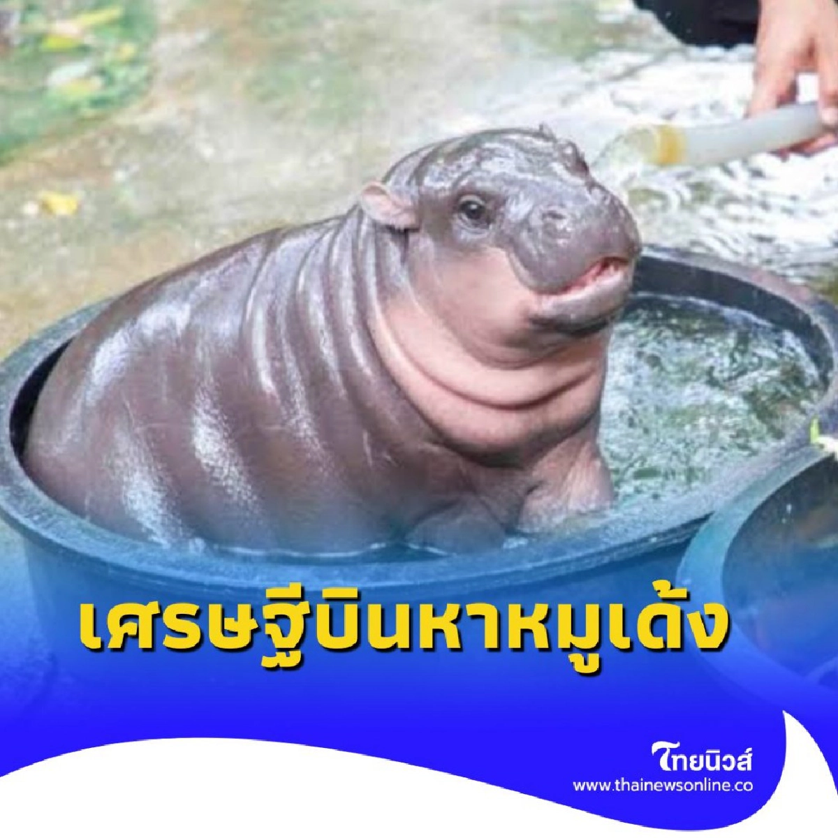 หมูเด้งปัง เศรษฐีดูไบใจป้ำ บินตรงมอบ 5 ล้าน