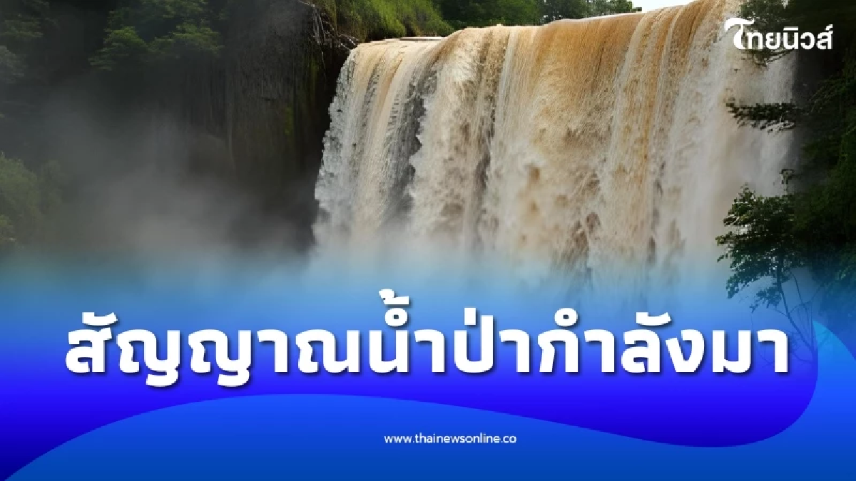5 สัญญาณเตือนน้ำป่ากำลังมา จำให้ขึ้นใจ ก่อนจะหนีไม่ทัน