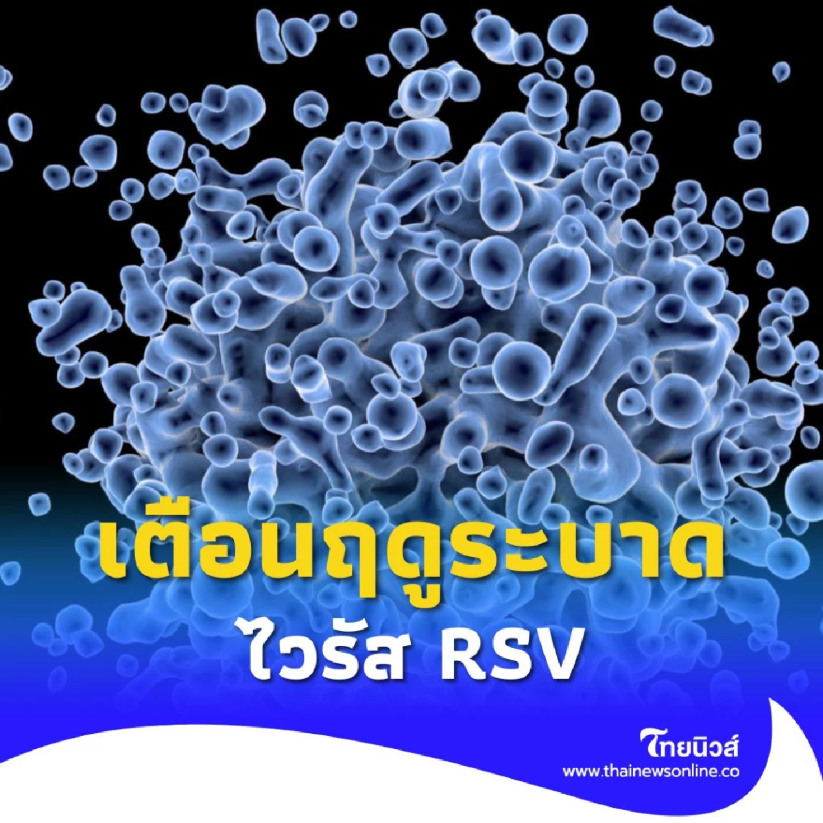 ฤดูระบาดไวรัส RSV ในเด็กทารกอายุน้อยกว่า 2 ปี และกลุ่มผู้สูงอายุ