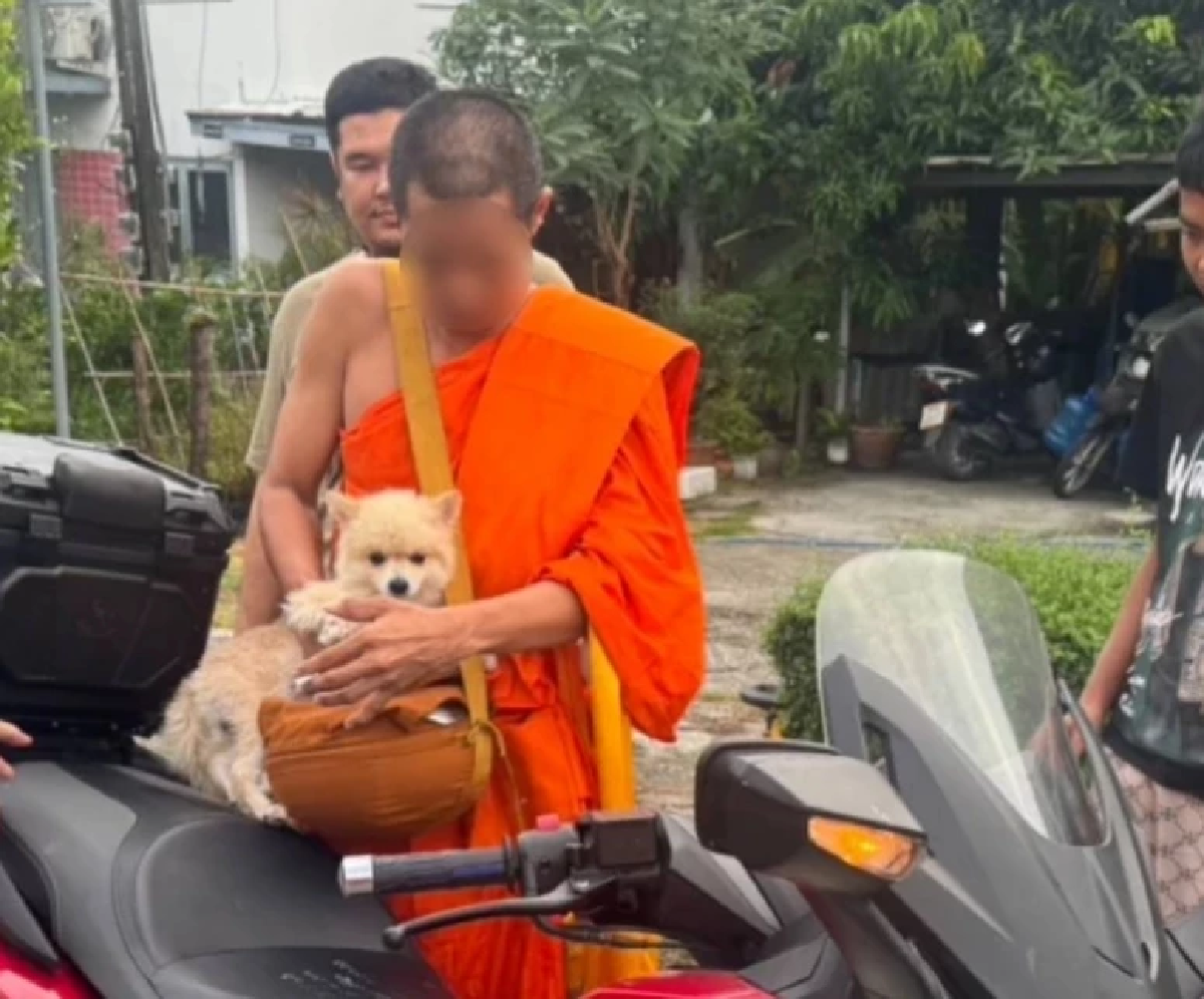 รวบพระอาจารย์คาผ้าเหลืองขณะบิณฑบาต ผู้บงการสั่งยาเสพติด