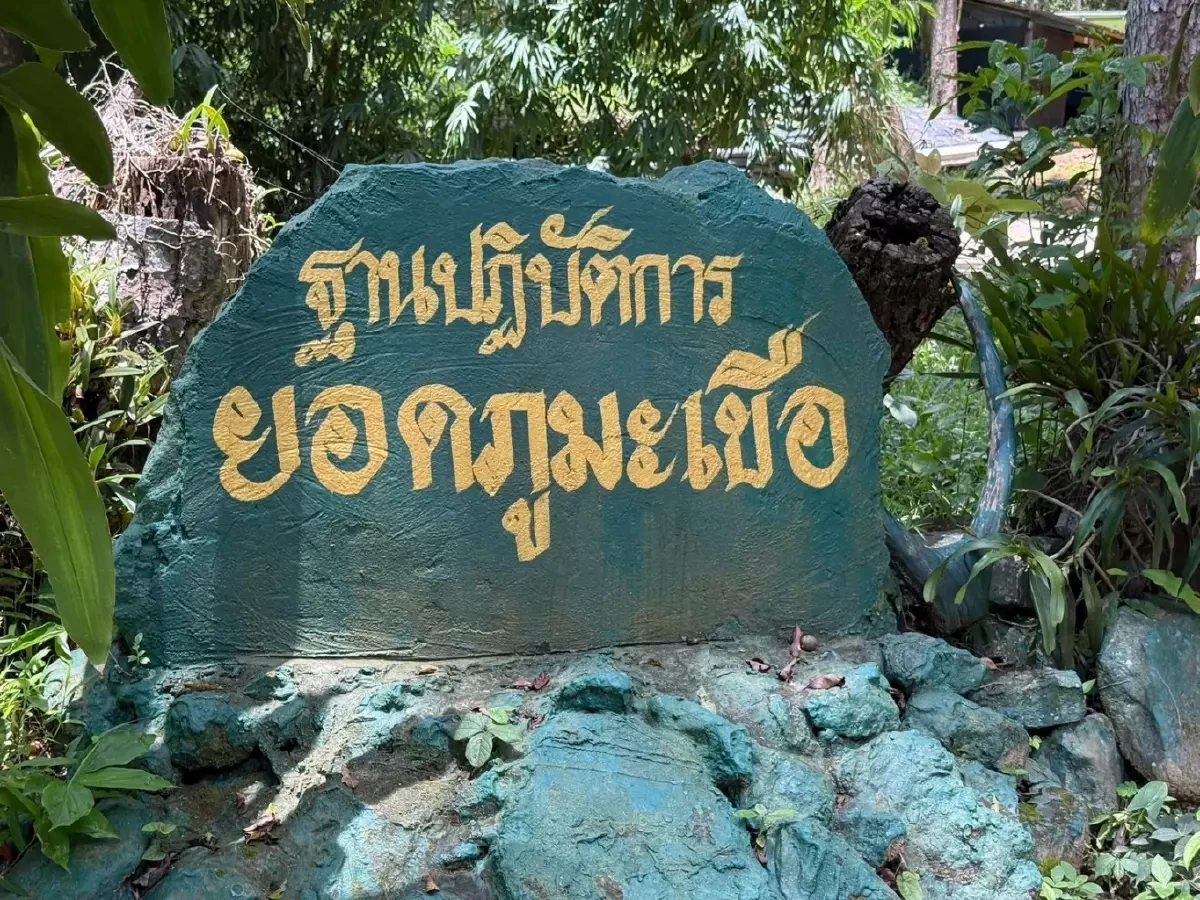 ปักธงชาติ ทัพไทยยึด &quot;ภูมะเขือ&quot; คืน! หลังปะทะเดือดชายแดนศรีสะเกษ