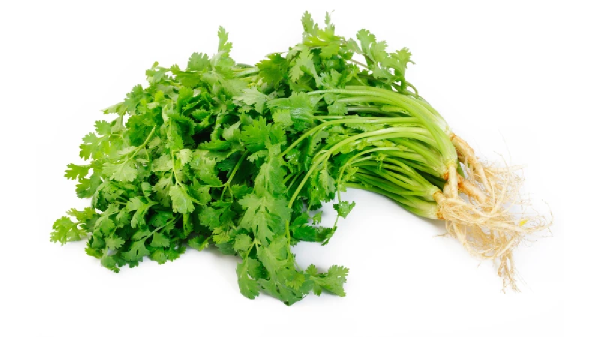 กิน 4 ผัก ต้องระวัง  เสี่ยงพยาธิเพียบ หากกินดิบหรือลวกไม่สุก