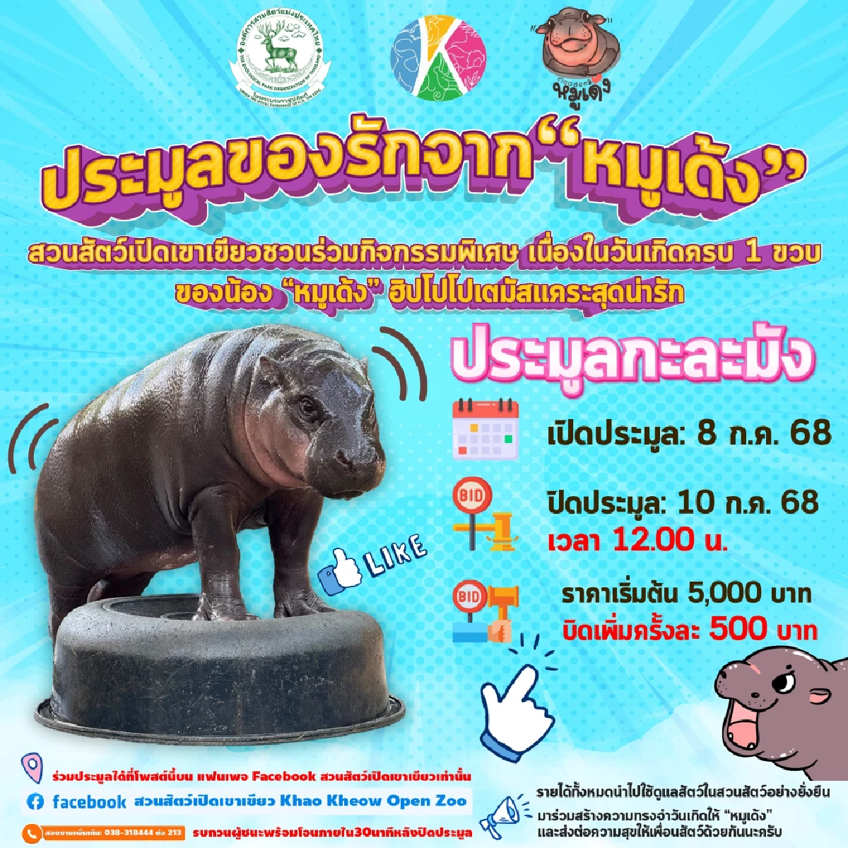 ประมูลกะละมัง “หมูเด้ง” ฮิปโปโปเตมัสแคระ ฉลองวันเกิด 1 ขวบ
