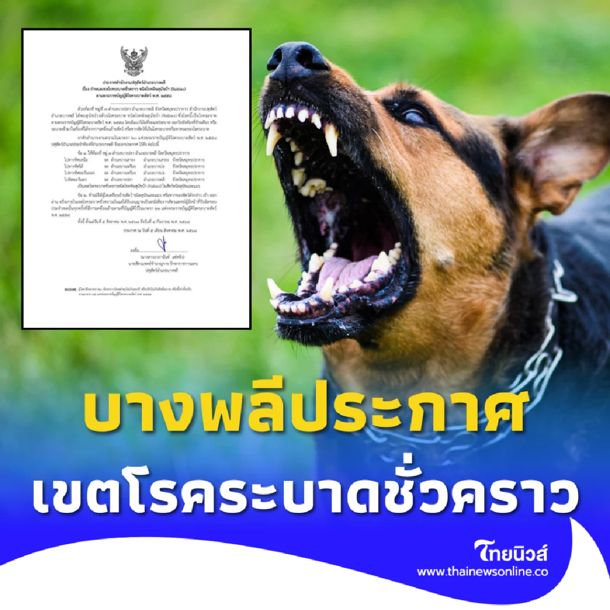 บางพลี สมุทรปราการ ประกาศเขตโรคระบาดชั่วคราว ถึง 4 ก.ย. 68