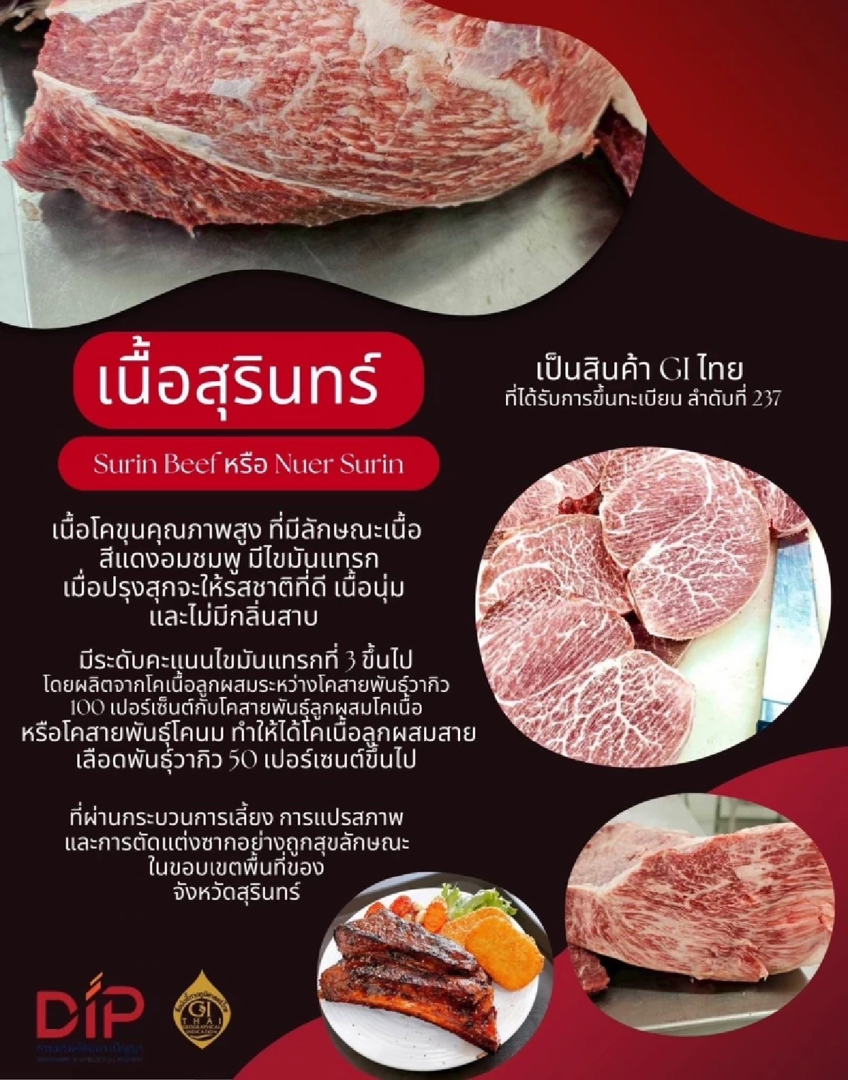 เนื้อสุรินทร์ ขึ้นแท่นสินค้า GI ใหม่ ทำรายได้ทะลุ 43 ล้านต่อปี