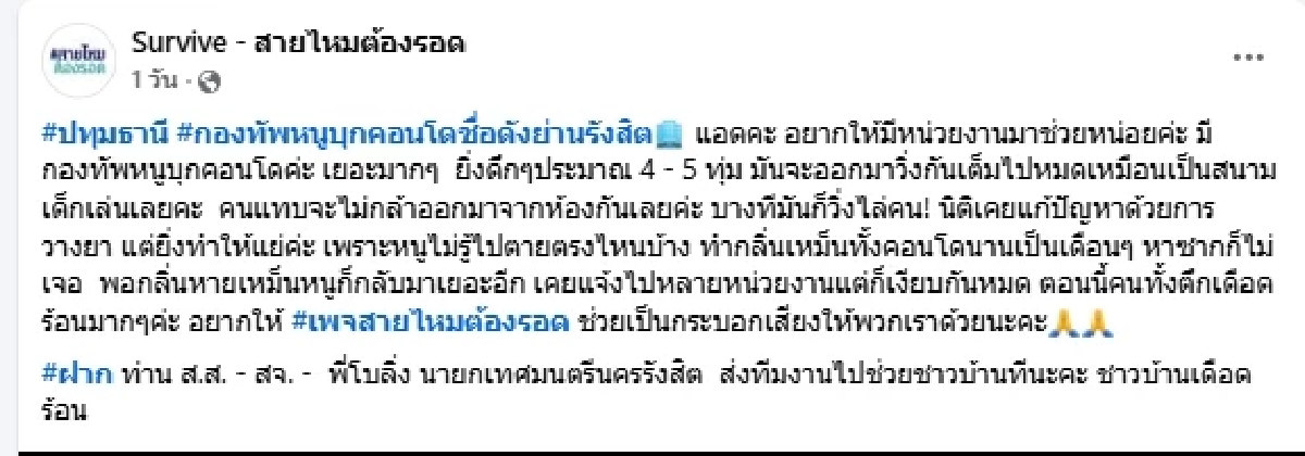 ขนลุก ลูกบ้านโวย กองทัพหนูบุกคอนโด เดือดร้อนหนักบางทีวิ่งไล่คน