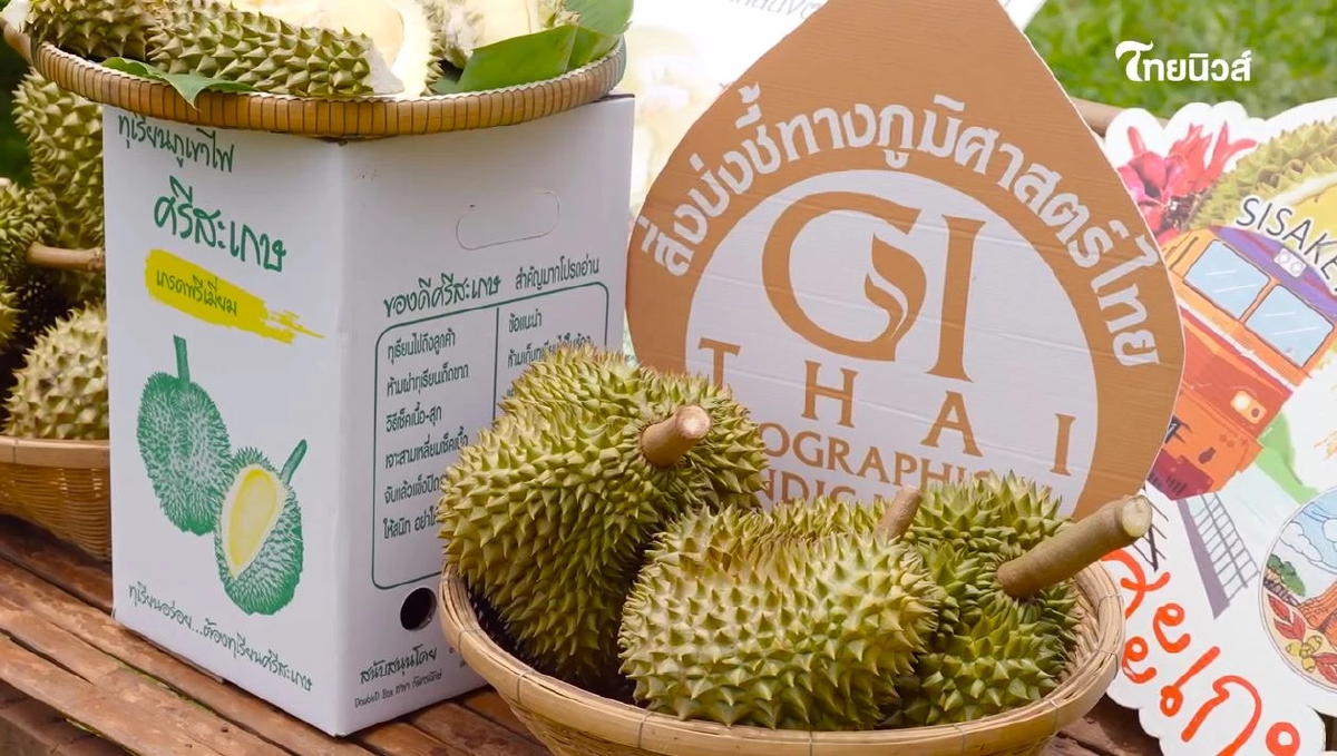 ไขรหัสลับ ทุเรียน GI ตามรอยราชาผลไม้ไทย จากเหนือจรดใต้