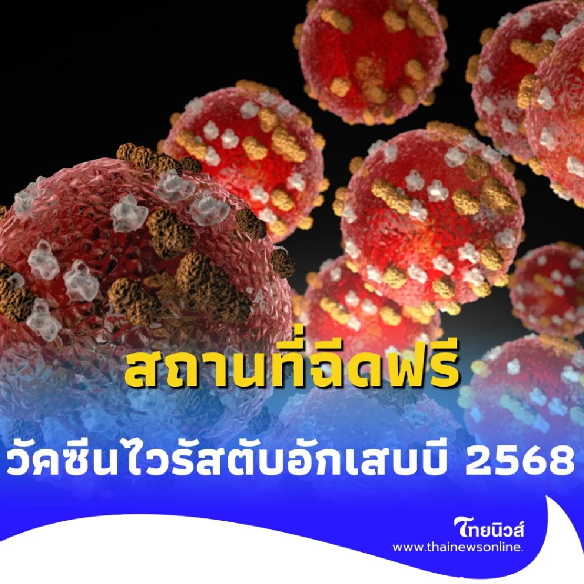 สิทธิคนไทยฉีด วัคซีนไวรัสตับอักเสบบี ฟรี ที่ไหนบ้าง คำตอบอยู่ที่นี่