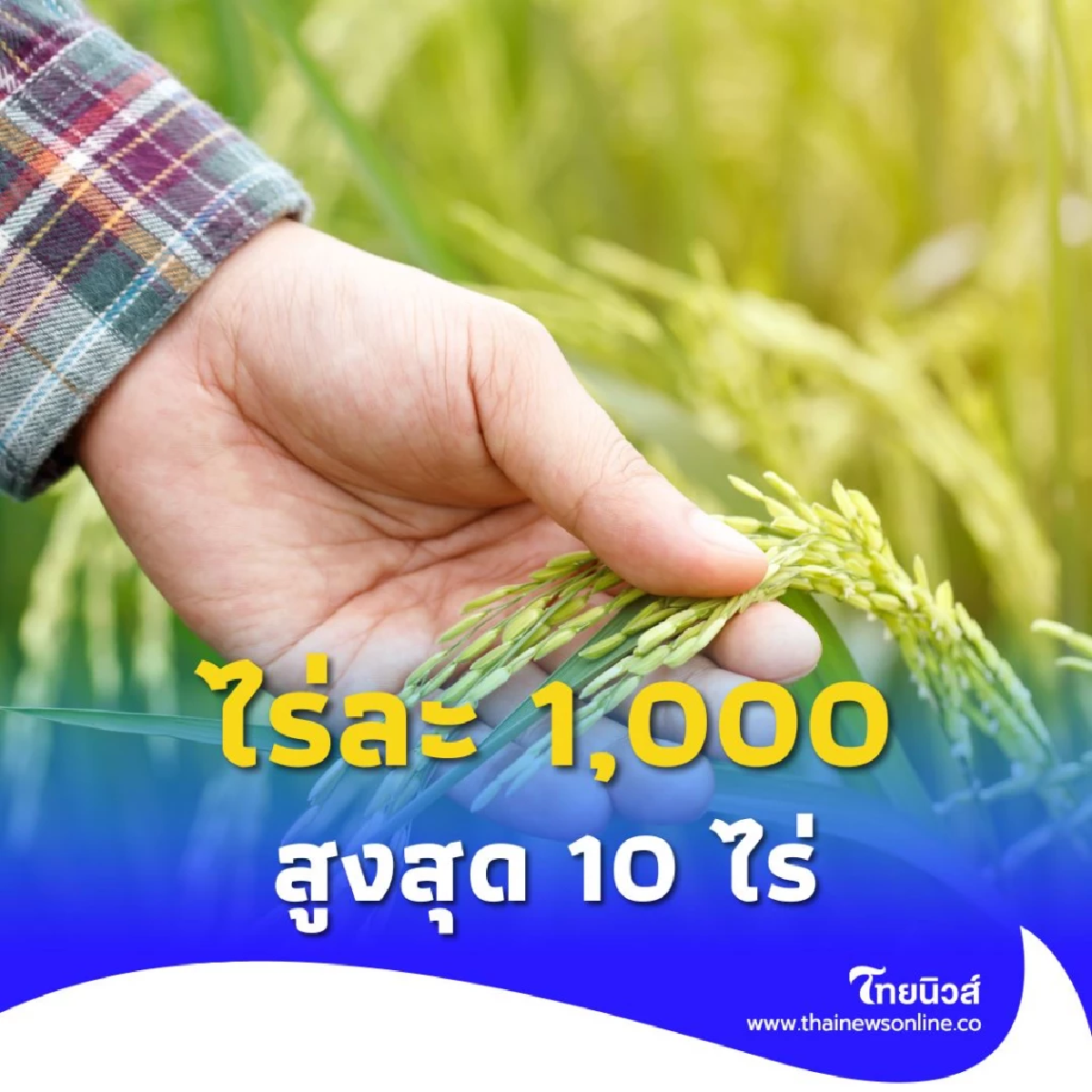 รัฐบาลเคาะมาตรการช่วยเหลือชาวนาไร่ละ 1,000 สูงสุด 10 ไร่