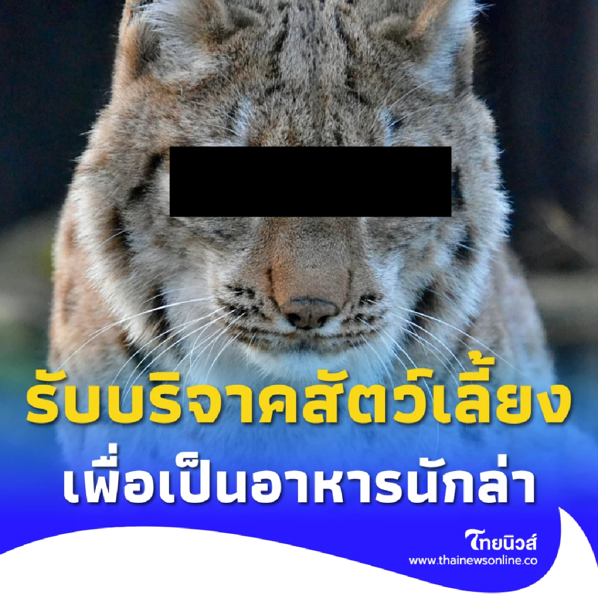 สวนสัตว์เดนมาร์ก เปิดรับบริจาคสัตว์เลี้ยงที่ไม่ต้องการ เพื่อเป็นอาหารนักล่า