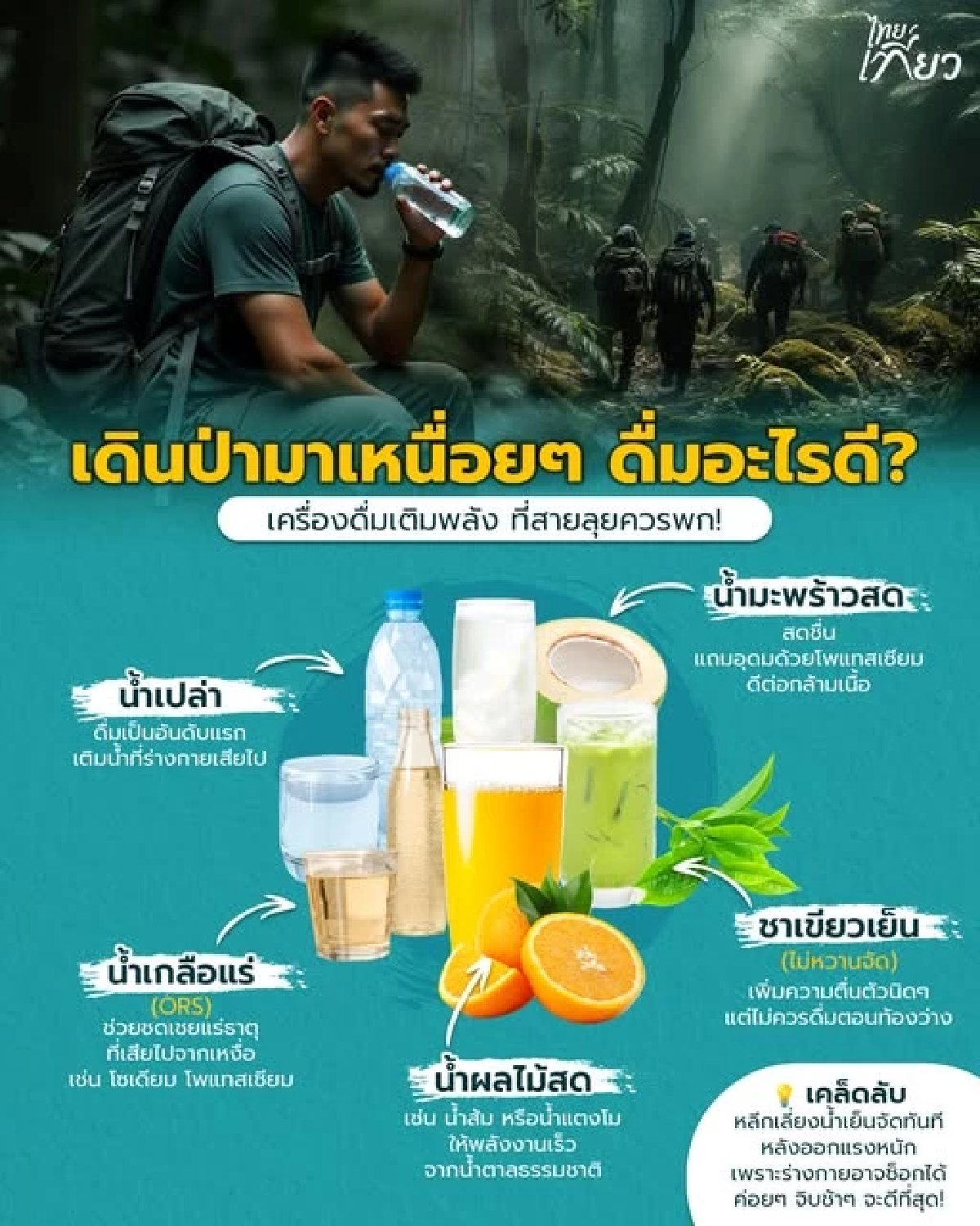 เดินป่า ดื่มอะไรดี รวมเครื่องดื่มเติมพลัง ฟื้นไว ไม่พังกลางทาง